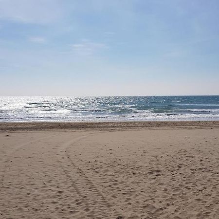 Studio Naturiste "Sunshine" Heliopolis Fg 14 Agde Exterior foto